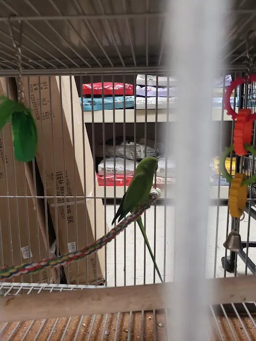 Family Pet Connection Picture 5