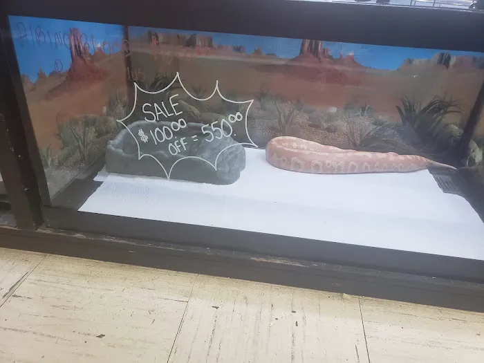 Family Pet Connection Picture 1