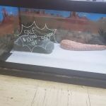 Family Pet Connection