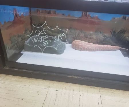 Family Pet Connection