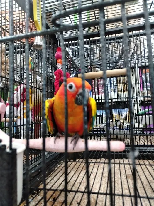 Family Pet Connection Picture 10