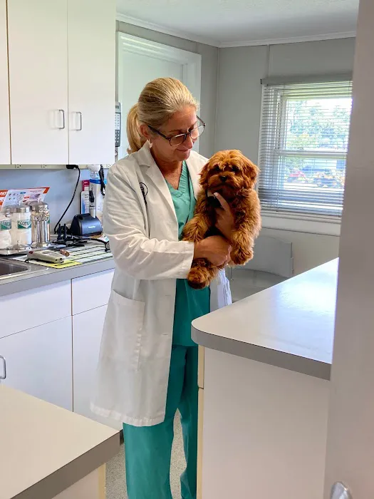 Stamen Animal Hospital Picture 10
