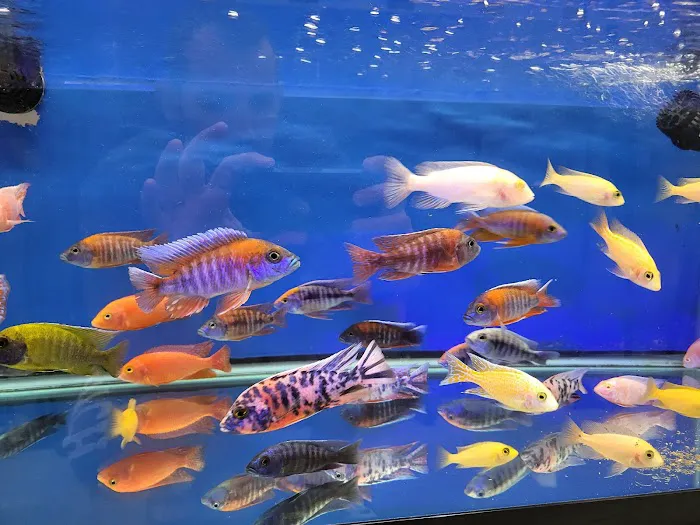 Aquarium Solutions 101 Picture 7