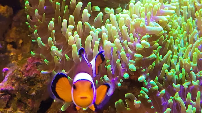 Aquarium Solutions 101 Picture 2