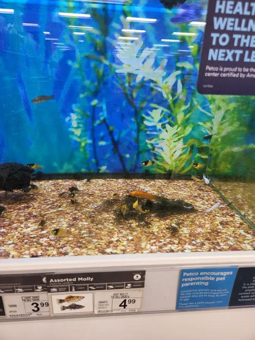 Petco Picture 2