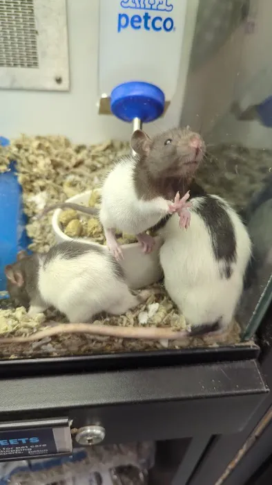 Petco Picture 1
