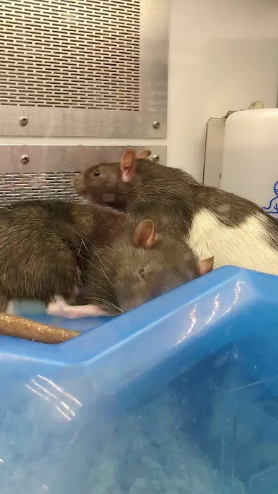 Petco Picture 3