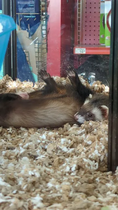 Petco Picture 5