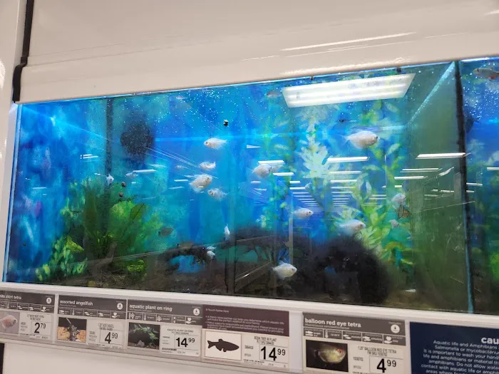 Petco Picture 10