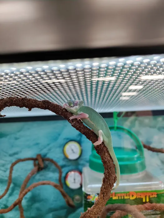 Petco Picture 9