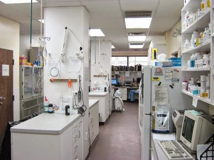 County Animal Clinic Picture 3