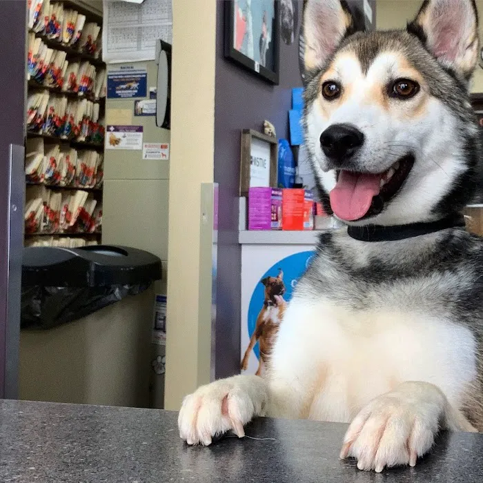 County Animal Clinic Picture 10