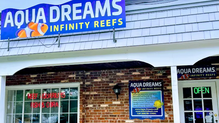 Aqua Dreams ~ Infinity Reefs Picture 4