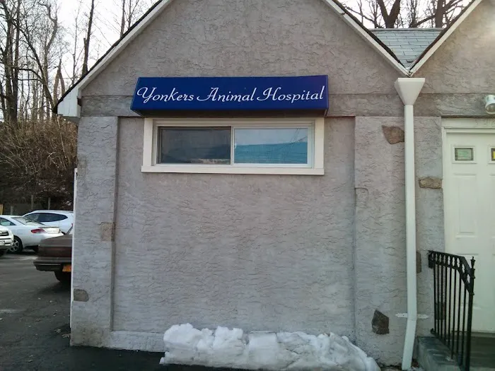 Yonkers Animal Hospital Picture 4