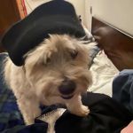 Vetco Vaccination Clinic