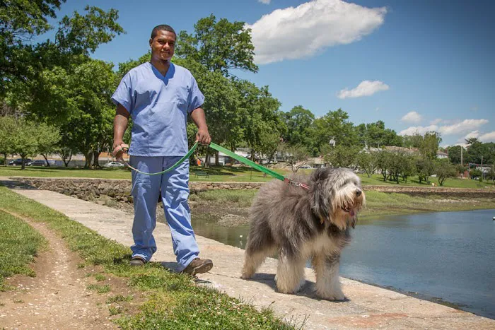 Mamaroneck Veterinary Hospital Picture 9
