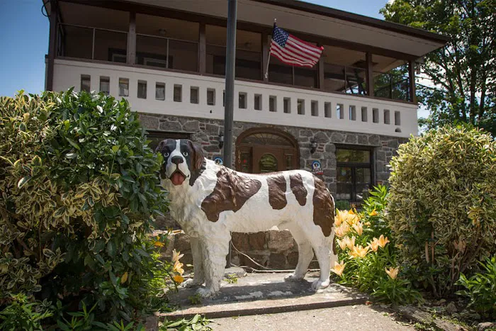 Mamaroneck Veterinary Hospital Picture 10