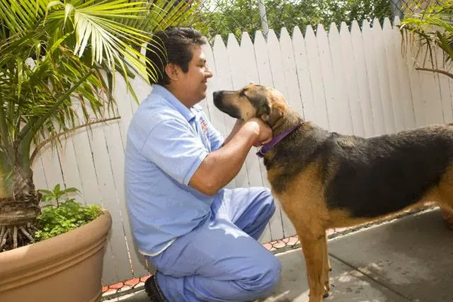 Mamaroneck Veterinary Hospital Picture 6