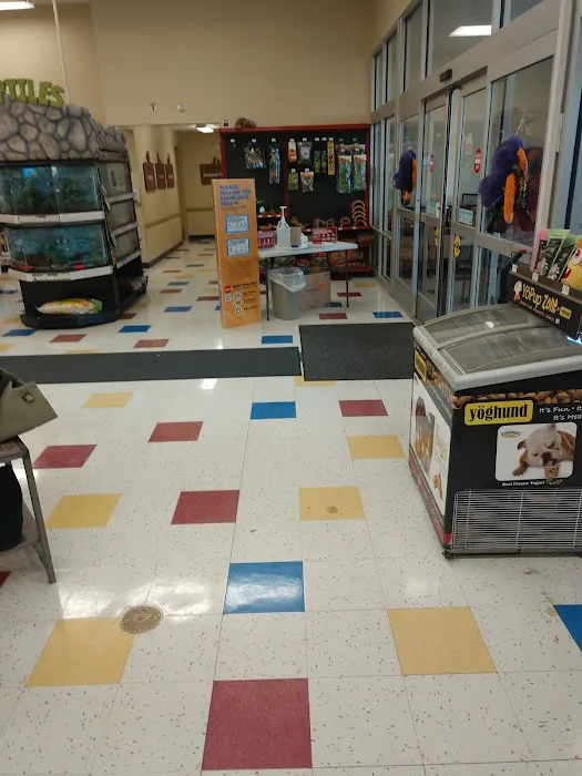 Petco Picture 8