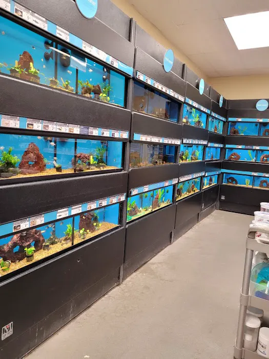 Petco Picture 4