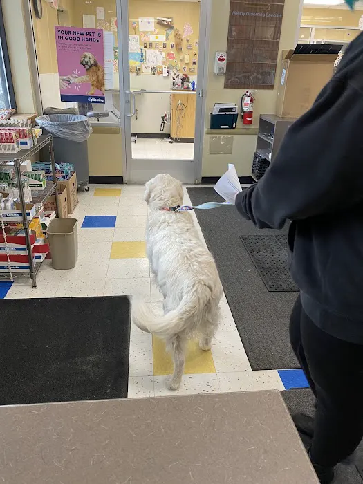 Petco Picture 2