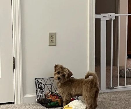 Petco