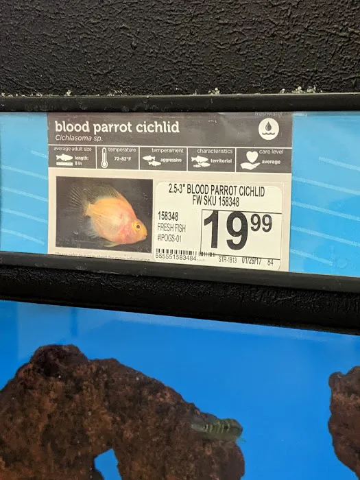 Petco Picture 3