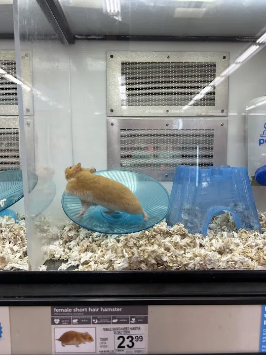 Petco Picture 9
