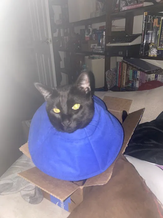 Englewood Veterinary Center Picture 2