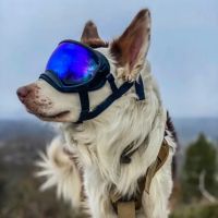 Canis Mountain Outfitters ico