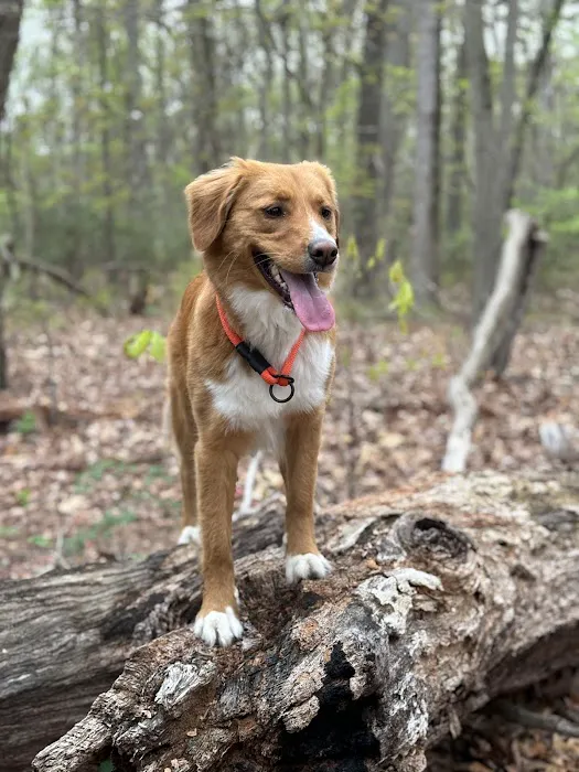 Canis Mountain Outfitters Picture 5