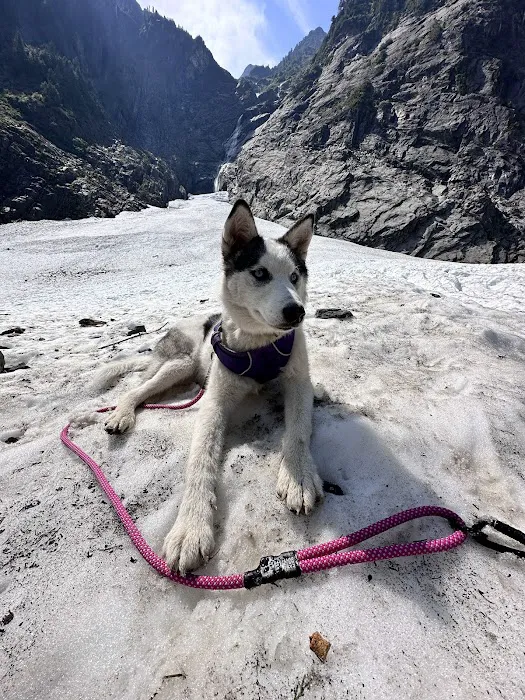 Canis Mountain Outfitters Picture 2