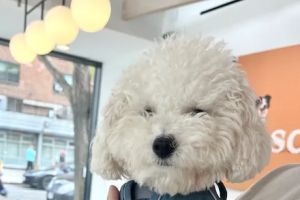 Auto Service Center