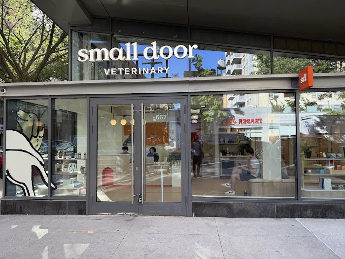 Small Door Veterinary - Upper West Side Picture 6