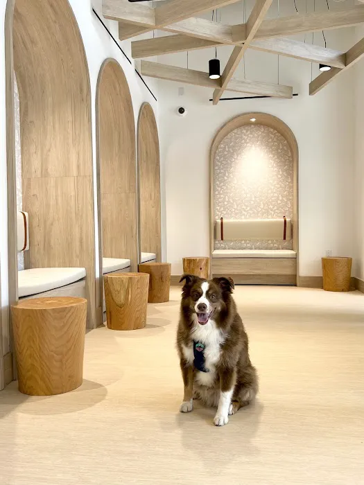 Small Door Veterinary - Upper West Side Picture 2
