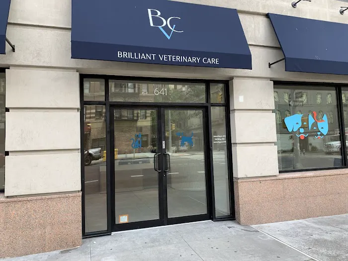 Brilliant Veterinary Care Picture 6