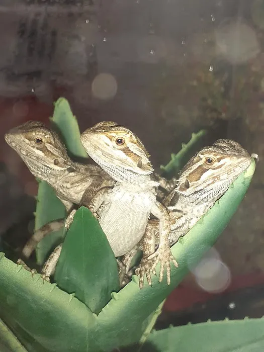 Petco Picture 7