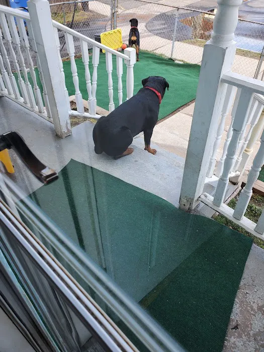 Petco Picture 9