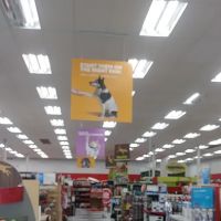 Petco ico