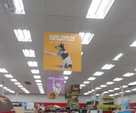 Petco