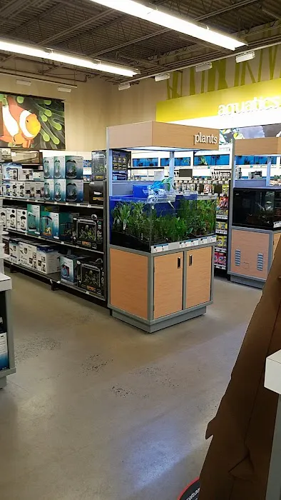 Petco Picture 4