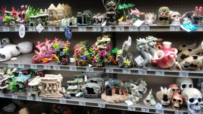Petco Picture 5