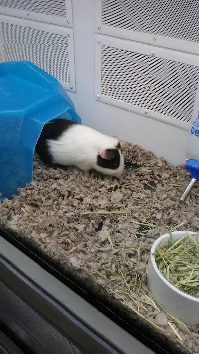 Petco Picture 2