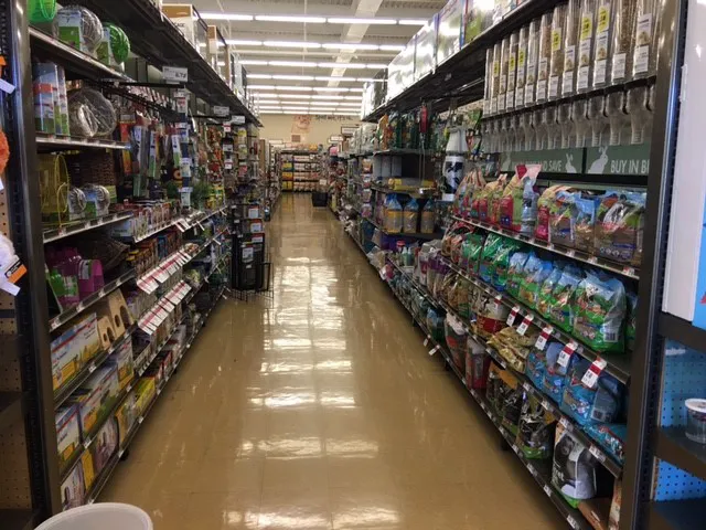 Pet Supplies Plus Wethersfield Picture 2