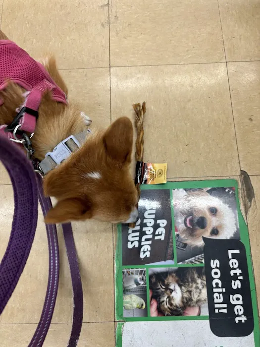 Pet Supplies Plus Wethersfield Picture 6