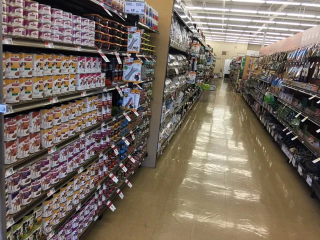 Pet Supplies Plus Wethersfield Picture 4