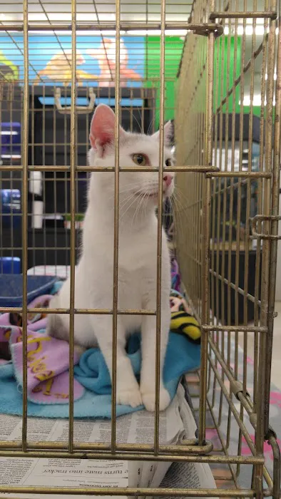 Pet Supplies Plus West Hartford Picture 3