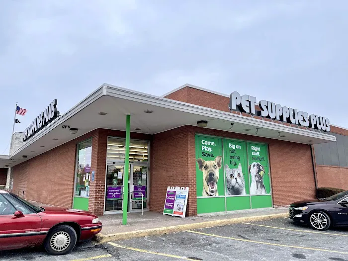 Pet Supplies Plus West Hartford Picture 5