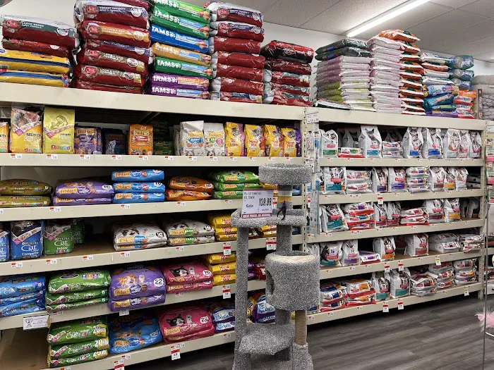 Pet Supplies Plus West Hartford Picture 9