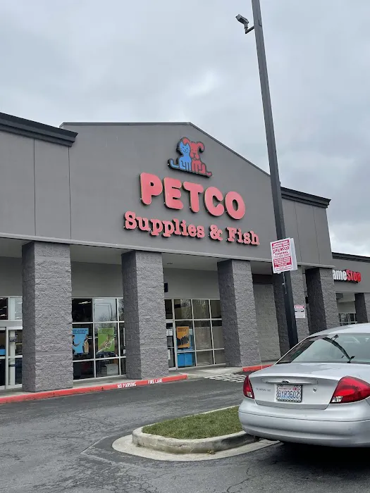 Petco Picture 5